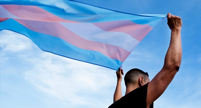 bandera_trans_activismo