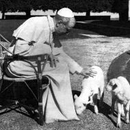 Toda la acción del Vaticano durante la II Guerra Mundial, gratis y a un solo click