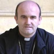 Monseñor Munilla. Félix Ordoñez/ABC