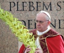 Papa Francisco en la celebración del Domingo de Ramos