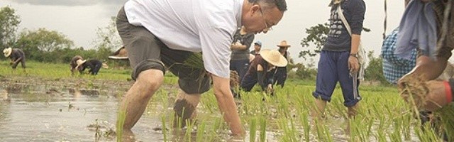 El obispo Arpondratana recoge arroz con sus campesinos... una versión tailandesa del pastor que huele a oveja
