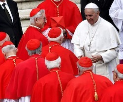 Francisco creará en el próximo consistorio veinte nuevos cardenales, quince de ellos electores.
