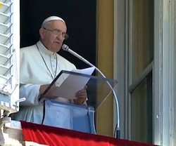 El Papa animó a los participantes en la Marcha por la Vida celebrada este domingo en Roma.