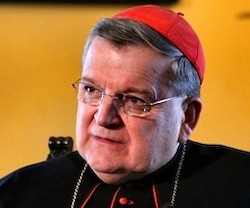 El cardenal Burke ha sido también obispo de LaCrosse (Wisconsin) y arzobispo de St Louis (Missouri).