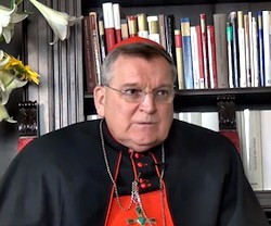 El cardenal Burke recuerda que fue el mismo Jesucristo quien proclamó la indisolubilidad del matrimonio.