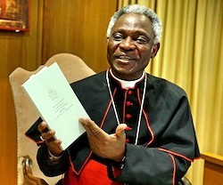 El cardenal Peter Turkson es natural de Ghana y presidía desde 2009 el Pontificio Consejo Justicia y Paz.