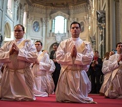 Los 36 nuevos sacerdotes fueron ordenados por el cardenal Parolin