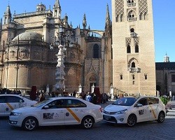 40 «taxis a favor de la vida» recorren las calles de Sevilla con publicidad contra el aborto