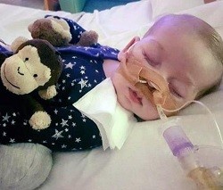 El bebé Charlie Gard será desconectado: el Tribunal de Estrasburgo impide su tratamiento en EEUU