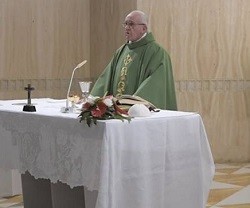El Papa comentó el libro del Génesis para hablar de la "promesa" de Dios