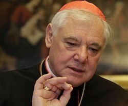 El cardenal Müller ha sido prefecto de la Doctrina de la Fe entre 2012 y 2017, un tiempo inusualmente breve.