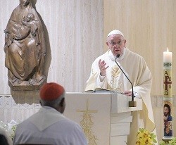 El Papa ha propuesto algunas preguntas para saber si la fe que tenemos es interesa o no