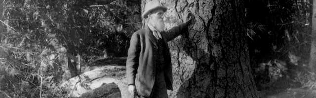 John Muir junto a los árboles, símbolo del misterio del hombre en relación con la Creación