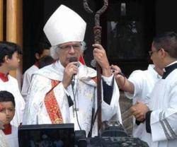 El cardenal Brenes pide orar por los que agreden a la Iglesia y que no se asalten templos durante el culto