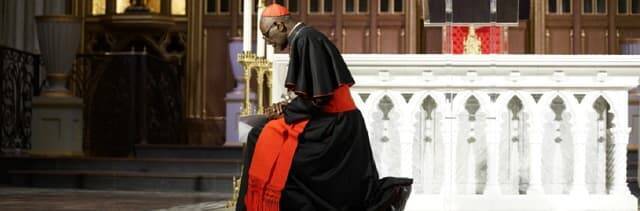 El cardenal Sarah, arrodillado