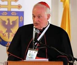 El cardenal Ouellet es prefecto del Dicasterio para los Obispos