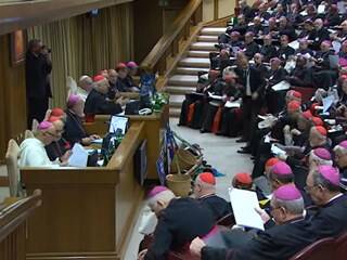 Decenas de laicos votarán en el sínodo