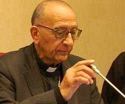 El cardenal Omella en la plenaria de los obispos españoles