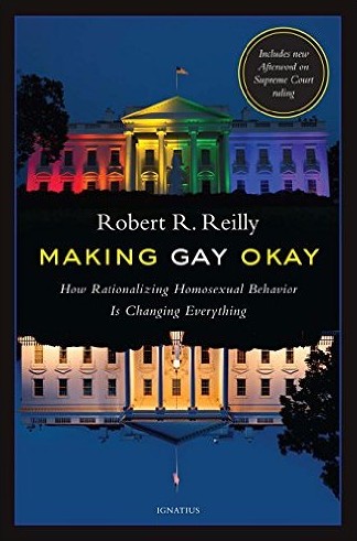 Portada de 'Making gay okay'.