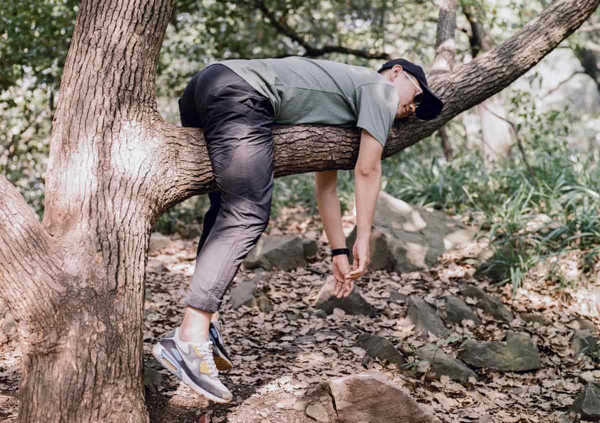 Un hombre perezoso tumbado como un koala en un árbol