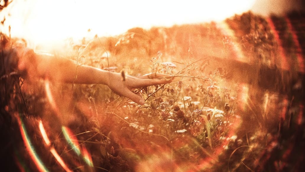 Una mano sobre campos y luces de aspecto espiritual -  Foto de Elia Pellegrini en Unsplash