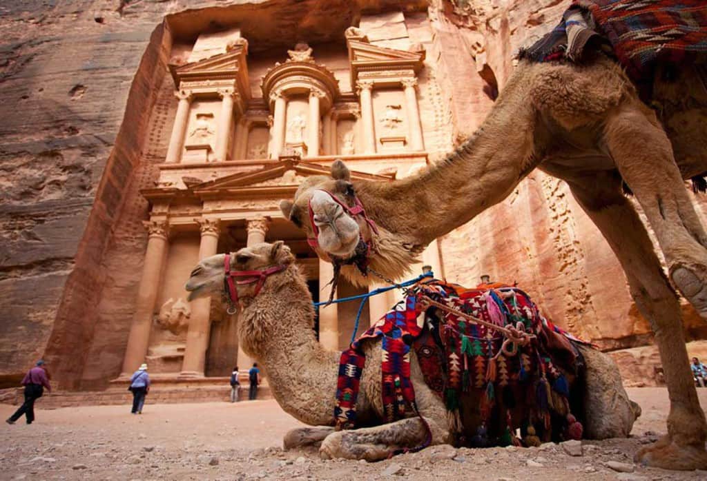 Camellos en Petra, una de las capitales nabateas