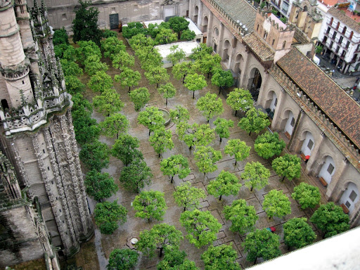 patio_naranjos_catedral_cordoba