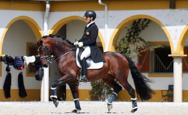Miguel Mota, compitiendo como jinete a lomos de su caballo.