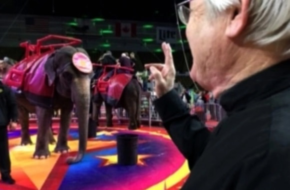 El diácono Gary Nosacek, cuando bendice elefantes en circos