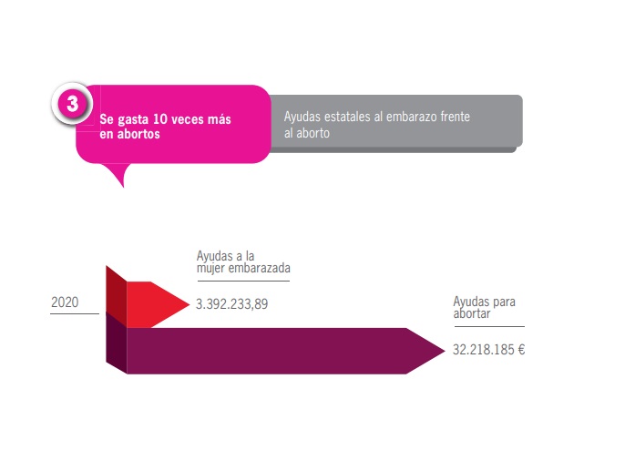 Gráfico del informe sobre ayudas para el embarazo y el aborto en España. 