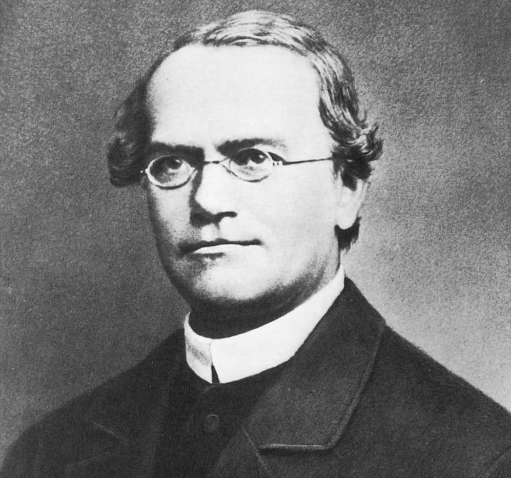 Gregor Mendel, monje agustino, meteorólogo, apicultor y padre de la ciencia genética
