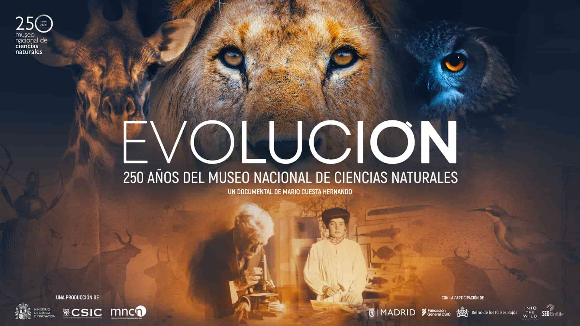 Cartel del documental Evolución, sobre el Museo Nacional de Ciencias Naturales