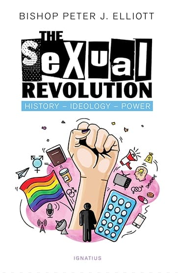 The sexual revolution. History, ideology, power. 