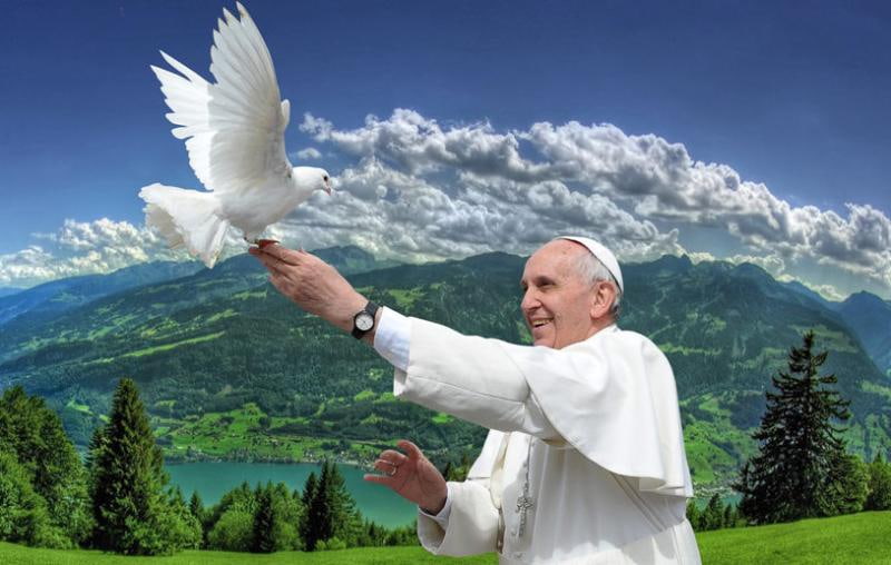 Un montaje fotográfico evoca la admiración del Papa Francisco por la belleza de la naturaleza y su preocupación ecológica