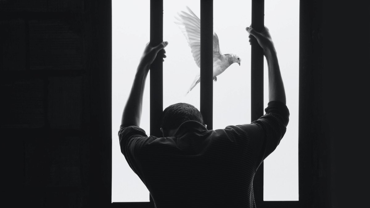 Un preso viendo la libertad. 