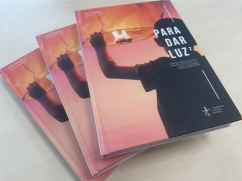 Para Dar Luz es el nombre de la web y los estudios que hacen seguimiento de la lucha contra abusos a menores en la Iglesia en España