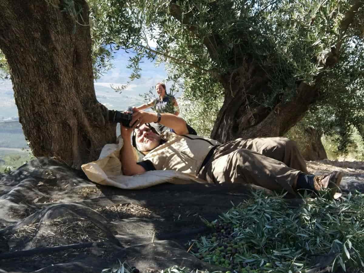 López-Linares se tira entre los olivos de Jaén buscando un encuadre perfecto