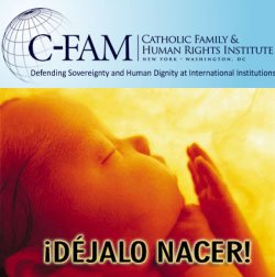 Campaña para impedir que el aborto sea reconocido como "derecho humano" por la Onu