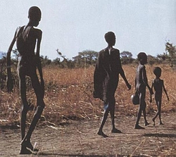 AIN denuncia la crítica situación de hambre e inseguridad en Eritrea