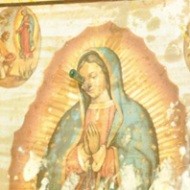 Imagen profanada de la Virgen de Guadalupe