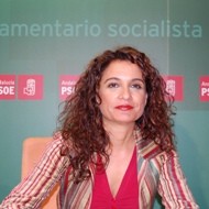 El PSOE andaluz considera que la objeción de conciencia frente al aborto es una «campaña ideológica»