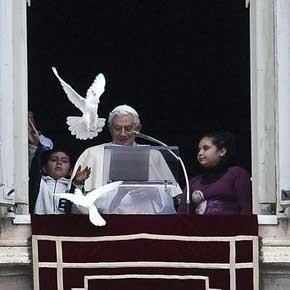 Las palomas de la paz se quedan en la casa del Papa