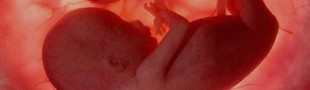 Expertos explican ante la ONU que el aborto incrementa la tasa de mortalidad materna