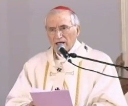 El cardenal Rouco Varela, en la Misa de las Familias de 2013