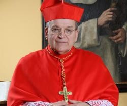 El cardenal Burke ha sabido ponerse firme con católicos rebeldes y poderosos, como el vicepresidente de EEUU o su ministra de sanidad