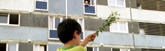 Un niño con una planta verde, signos de esperanza en los barrios HLM, grises, sucios, empobrecidos, envejecidos