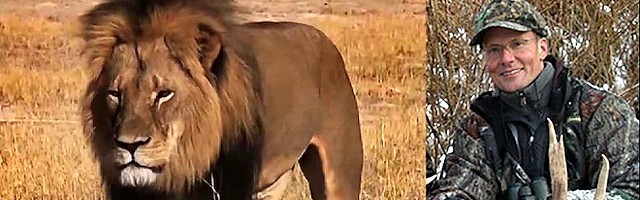 El autor del disparo que mató a Cecil está siendo linchado mediáticamente. No hace mucho un niño de 14 años fue devorado por un león similar.