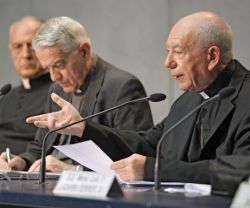 El cardenal Coccopalmerio explicando que los obispos en el Sínodo del año pasado pedían esta reforma de los juicios de nulidad