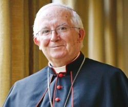 El cardenal Cañizares pide que los cristianos voten en defensa de la vida, la familia y la educación