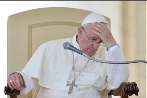 Colar el mosquito y tragarse el camello: sobre el video del Papa